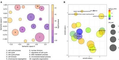 Summary Visualizations of Gene Ontology Terms With GO-Figure!